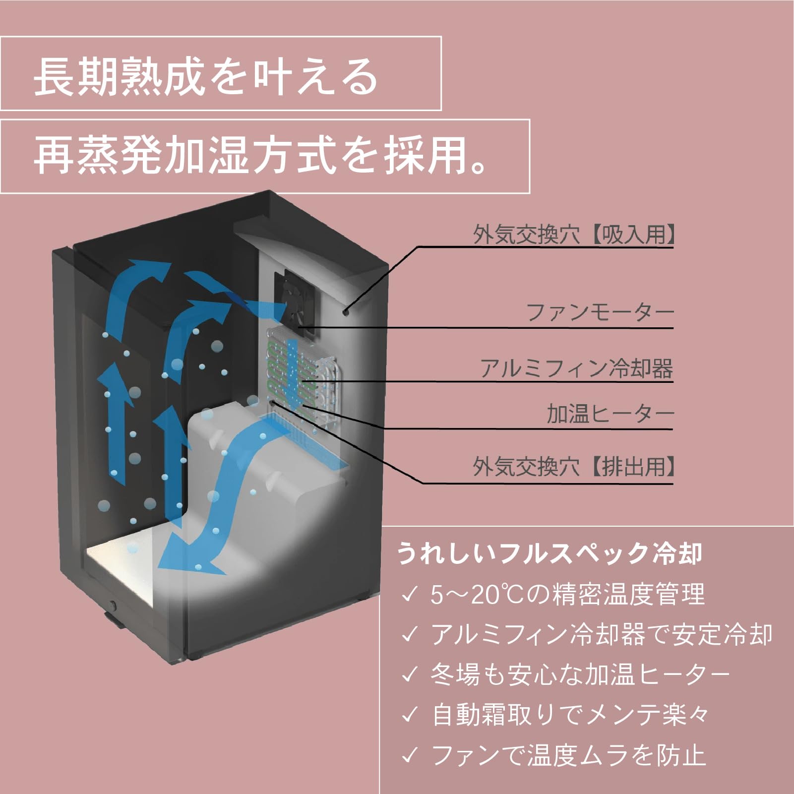 Amazon.co.jp: さくら製作所 ワインセラー FURNIEL SAB-50G-PB｜12本